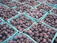 Blueberries