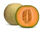 Rockmelon