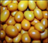 Cumquat