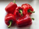 Red Capsicum