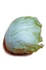 Iceberg Lettuce